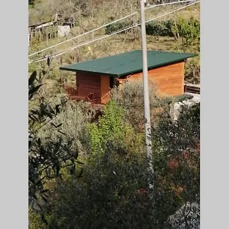 Feriehus La Casetta Di Molly Tra Ulivi E Roseto Leivi