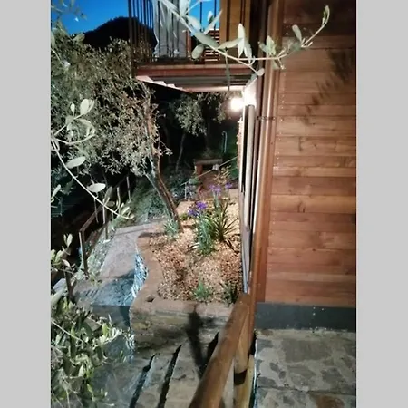 La Casetta Di Molly Tra Ulivi E Roseto Feriehus Leivi