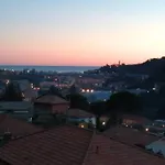 La Casetta Di Molly Tra Ulivi E Roseto