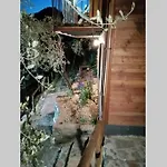 La Casetta Di Molly Tra Ulivi E Roseto 別荘 Leivi