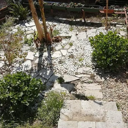 別荘 La Casetta Di Molly Tra Ulivi E Roseto Leivi