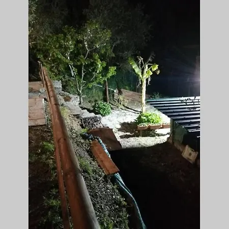 La Casetta Di Molly Tra Ulivi E Roseto