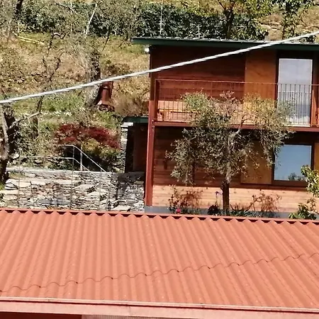 بيت للعطل La Casetta Di Molly Tra Ulivi E Roseto *