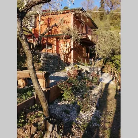 La Casetta Di Molly Tra Ulivi E Roseto *