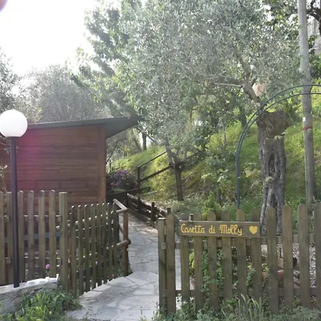 La Casetta Di Molly Tra Ulivi E Roseto Casa de Férias Leivi