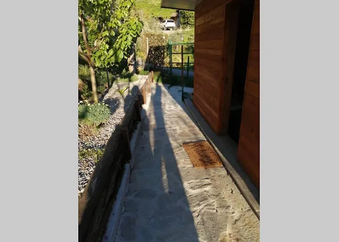 Casa vacanze La Casetta Di Molly Tra Ulivi E Roseto *