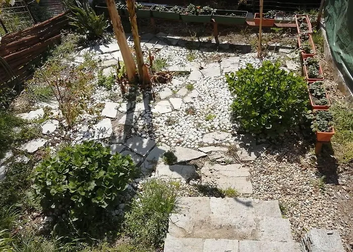 Casa vacanze La Casetta Di Molly Tra Ulivi E Roseto Leivi