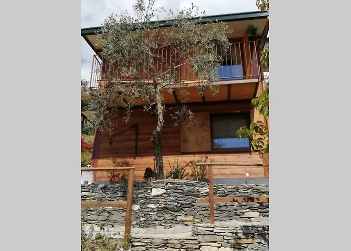 La Casetta Di Molly Tra Ulivi E Roseto 別荘 Leivi