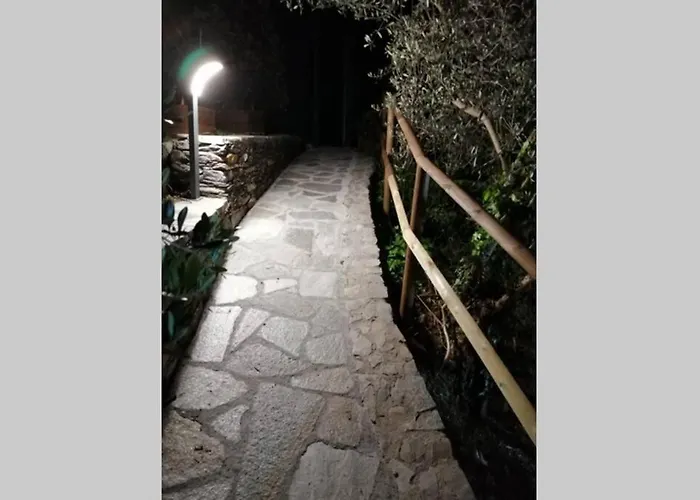 Casa vacanze La Casetta Di Molly Tra Ulivi E Roseto *