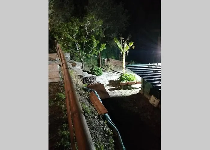 La Casetta Di Molly Tra Ulivi E Roseto