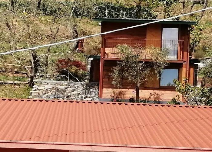 Casa vacanze La Casetta Di Molly Tra Ulivi E Roseto *