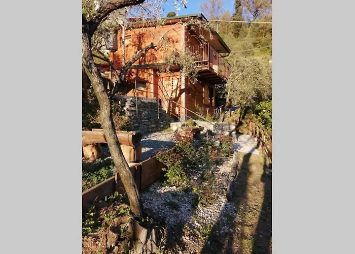 La Casetta Di Molly Tra Ulivi E Roseto *