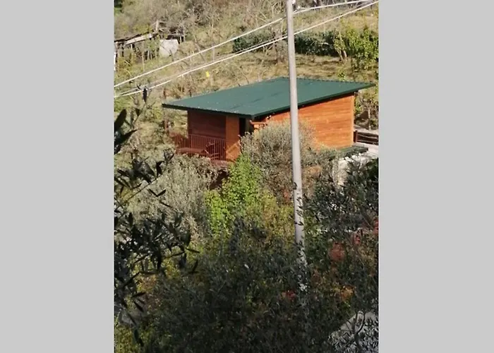 Casa vacanze La Casetta Di Molly Tra Ulivi E Roseto Leivi