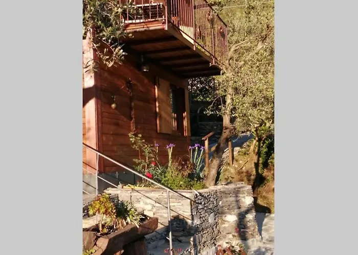 La Casetta Di Molly Tra Ulivi E Roseto * Leivi