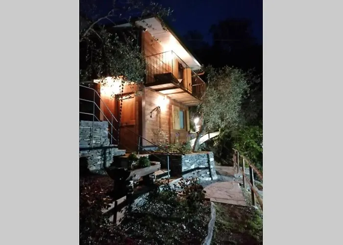 La Casetta Di Molly Tra Ulivi E Roseto *