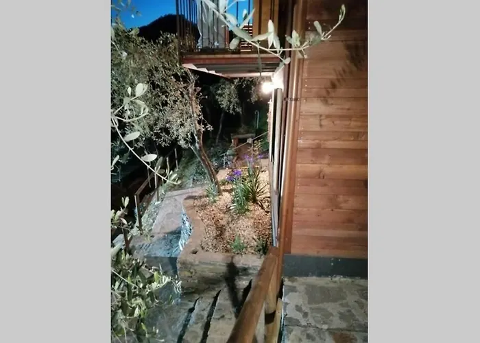 La Casetta Di Molly Tra Ulivi E Roseto 別荘 Leivi